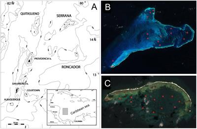 Steady Decline of Corals and Other Benthic Organisms in the SeaFlower Biosphere Reserve (Southwestern Caribbean)